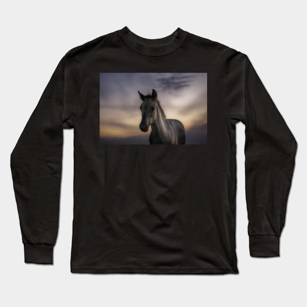 Excuse me, do you speak equus? Long Sleeve T-Shirt by hton